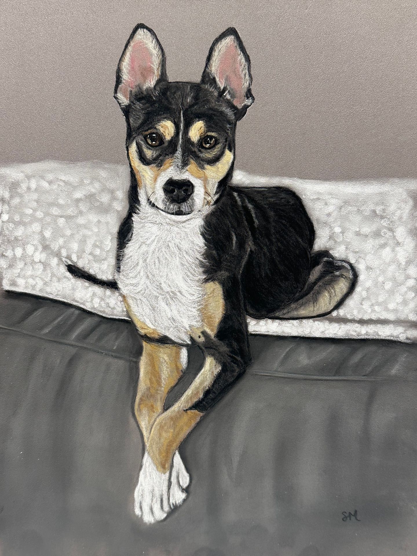 Custom Pet Portraits