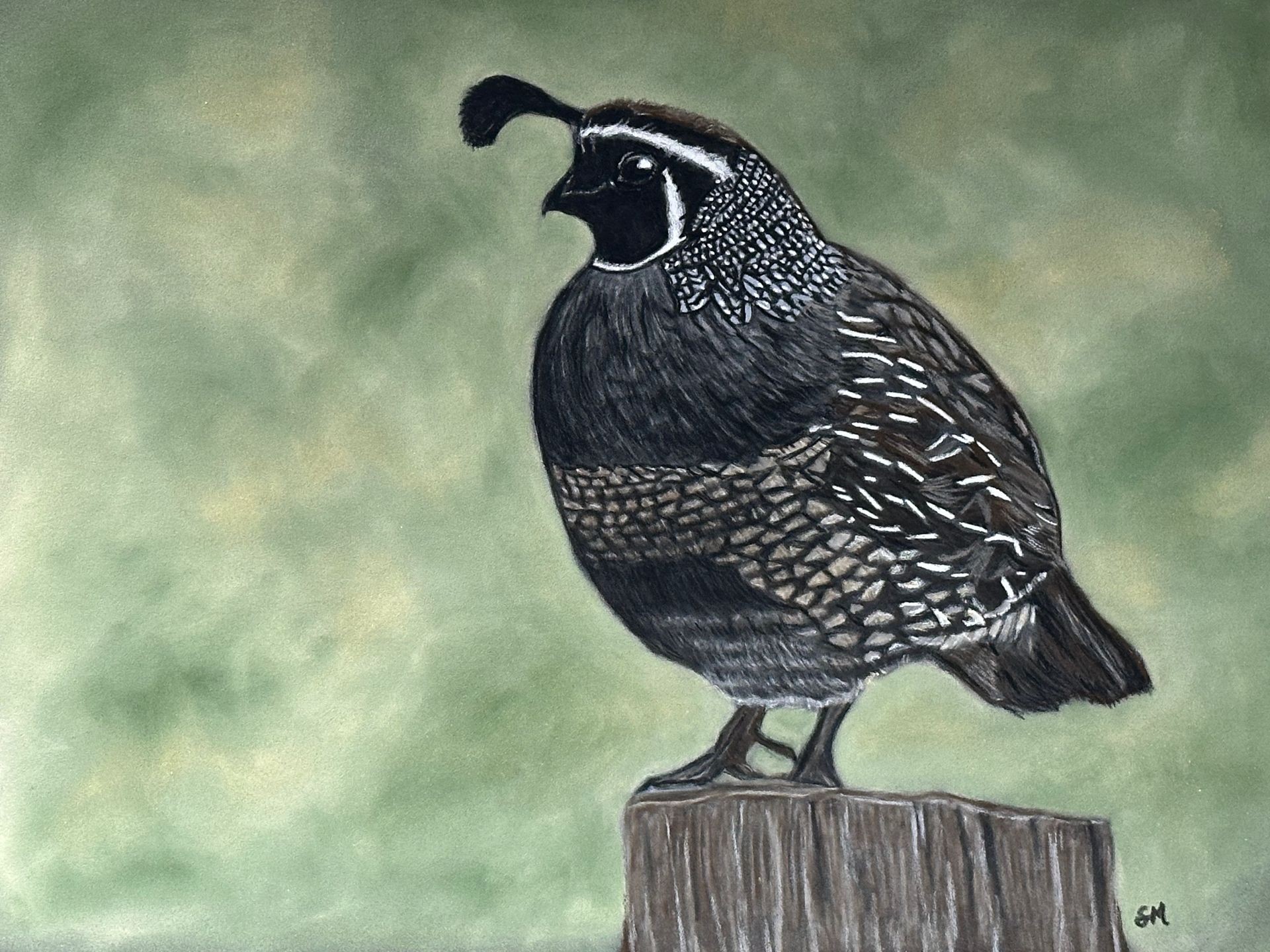 Original Artwork Sale